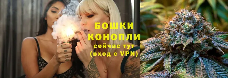 Конопля SATIVA & INDICA  где купить наркоту  Кизел 